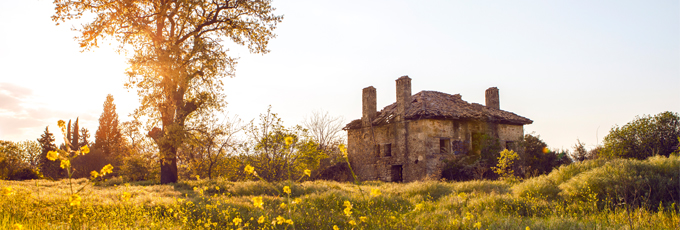 House and tree